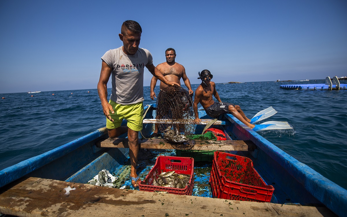 Fishing in Lebanon الصيد البحري في لبنان - Departure from the